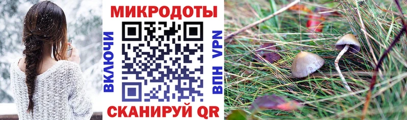 закладки Нефтегорск Галлюциногенные грибы GOLDEN TEACHER